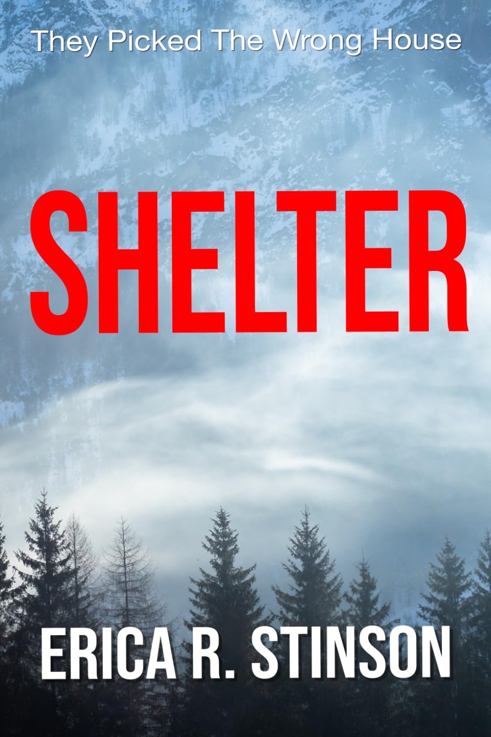 Shelter: A Gripping Suspense Thriller,Used