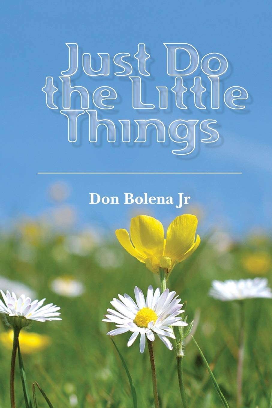 Just Do The Little Things