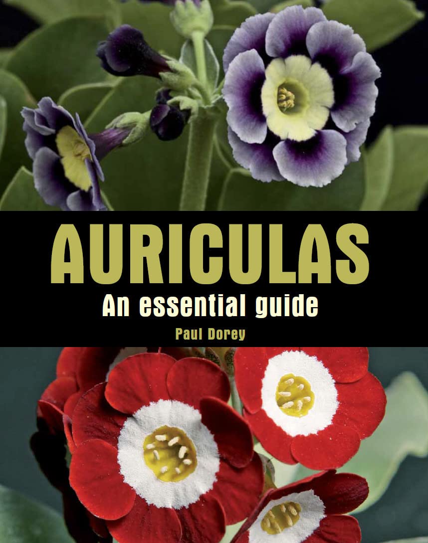 Auriculas,Used