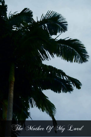 The Mother Of My Lord: Or The Explanation Of The Hail Mary,Used