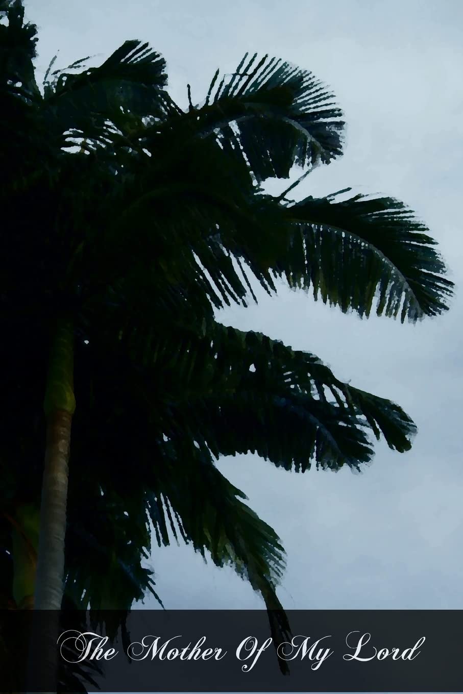 The Mother Of My Lord: Or The Explanation Of The Hail Mary,Used