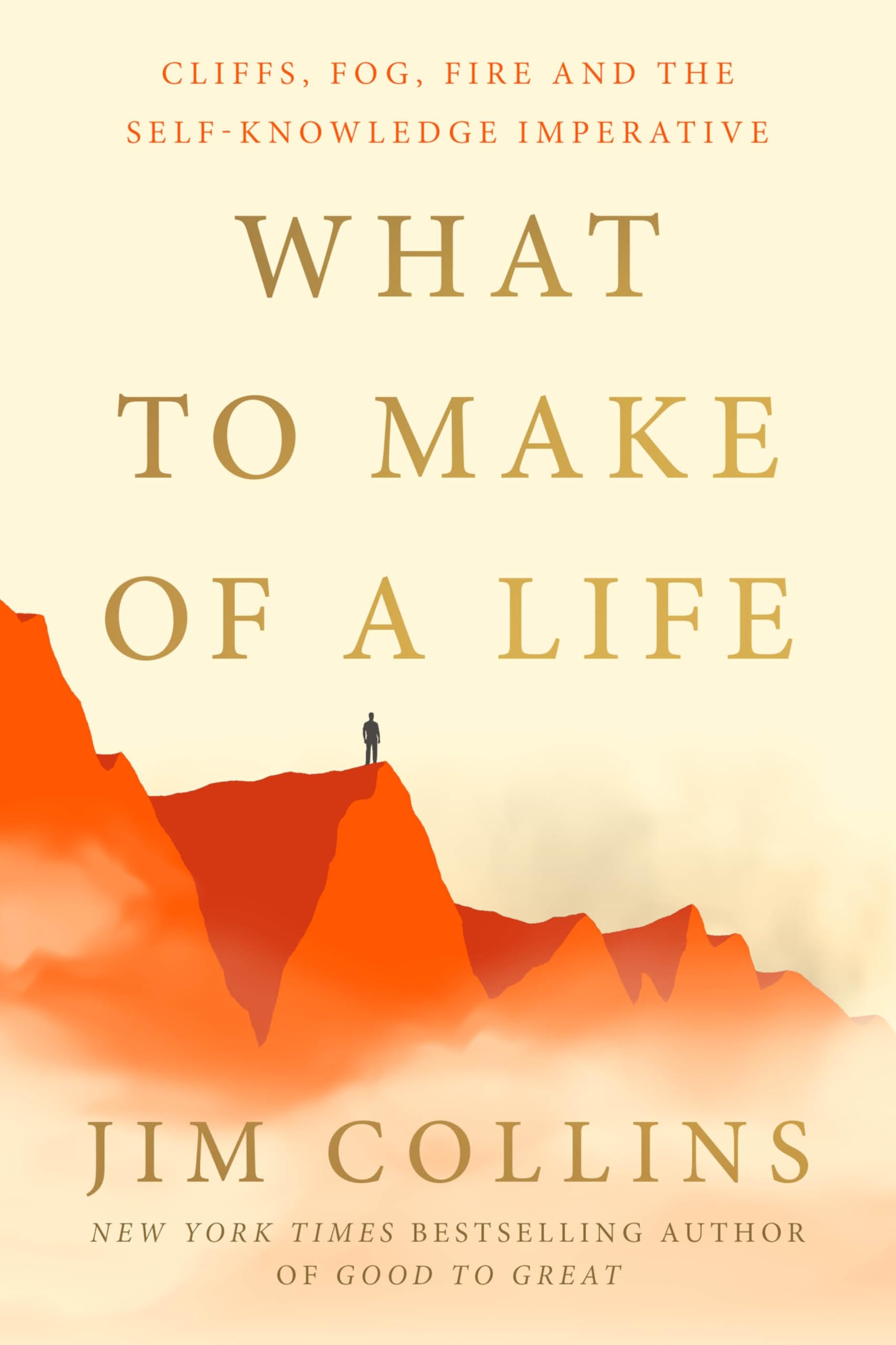 What To Make Of A Life: Cliffs, Fog, Fire And The SelfKnowledge Imperative