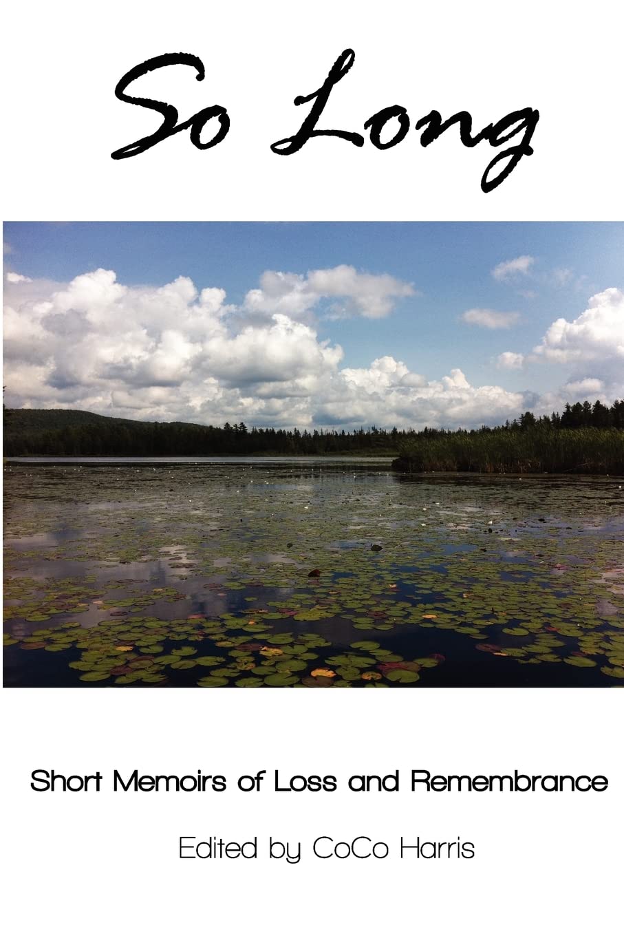 So Long: Short Memoirs of Loss and Remembrance,Used