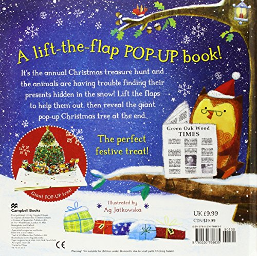 The Christmas Treasure Hunt: A Lift the Flap Book,Used