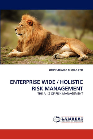 ENTERPRISE WIDE / HOLISTIC RISK MANAGEMENT: THE A  Z OF RISK MANAGEMENT,Used