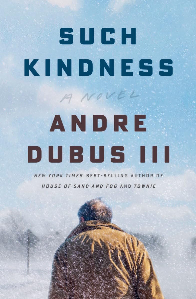Such Kindness: A Novel,Used