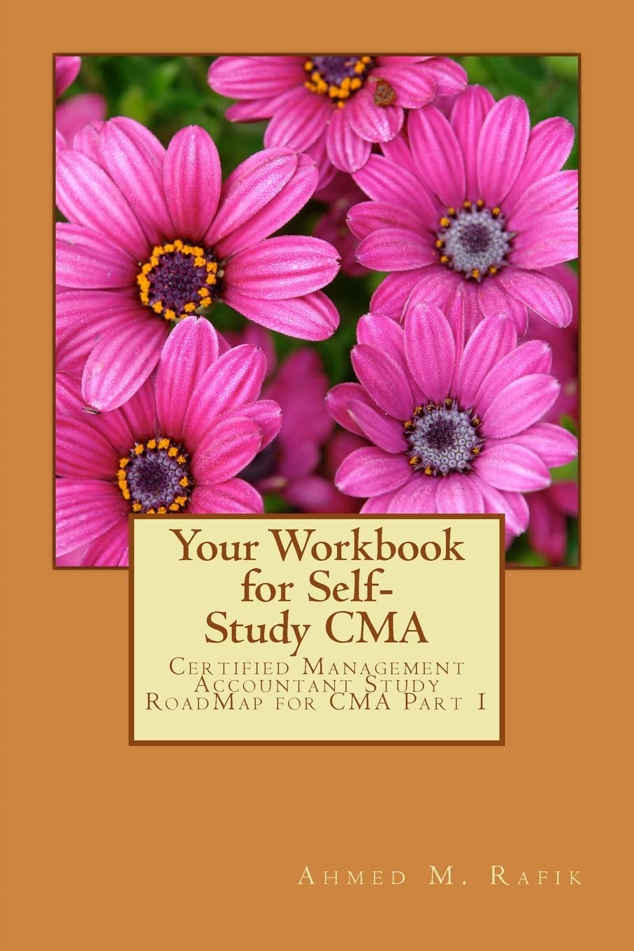 Your Workbook For Selfstudy Cma: Certified Management Accountant Roadmap Cma Part 1,Used