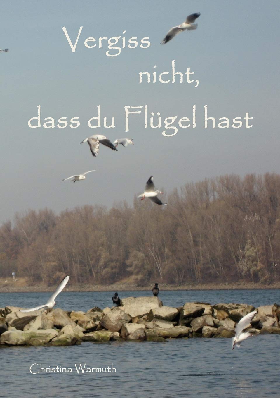 Vergiss nicht, dass du Flgel hast (German Edition),Used