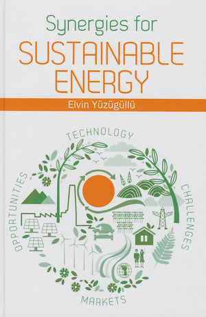 Synergies For Sustainable Energy (Artech House Power Engineering),Used