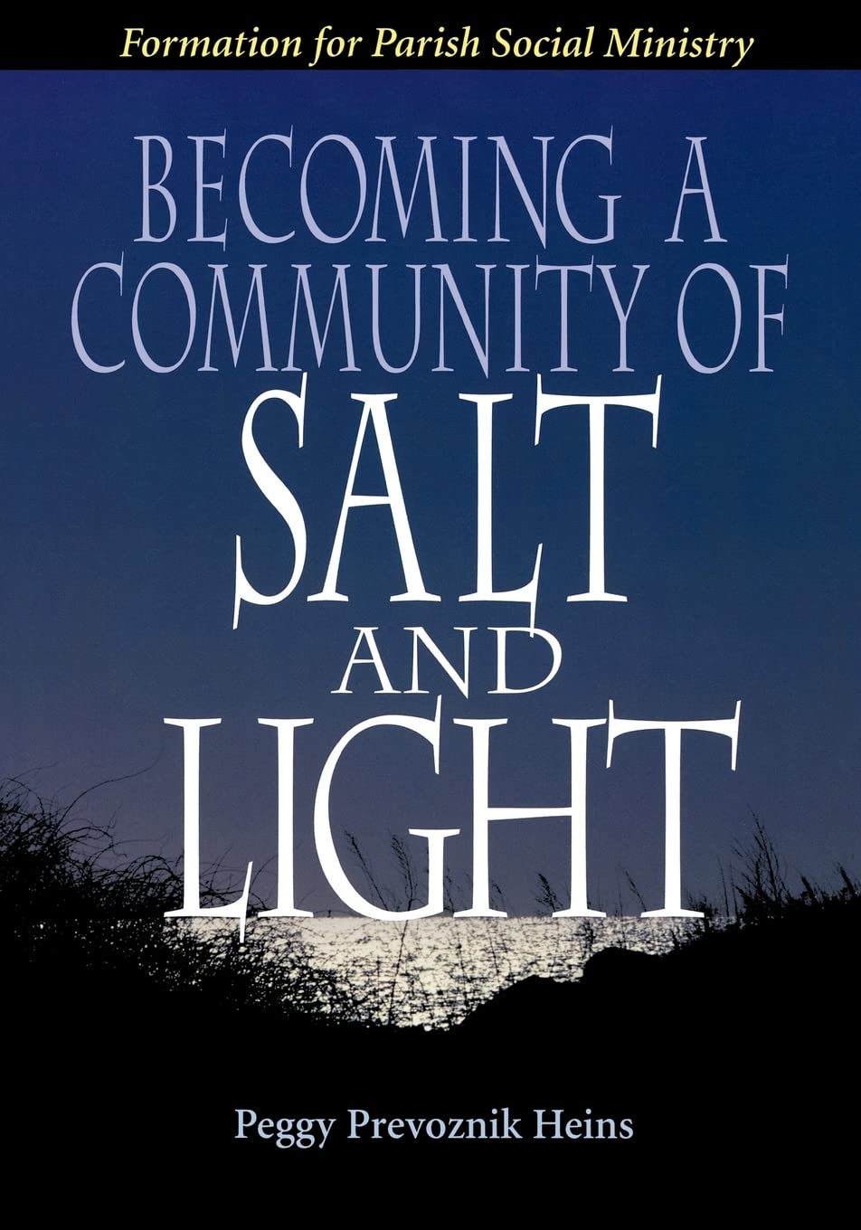 Becoming a Community of Salt and Light: Formation for Parish Social Ministry,Used