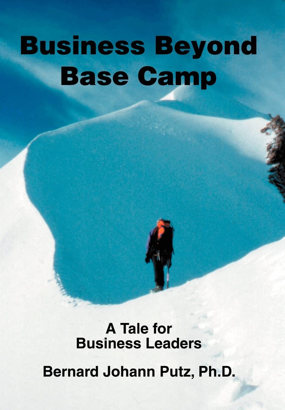 Business Beyond Base Camp: A Tale for Business Leaders,Used