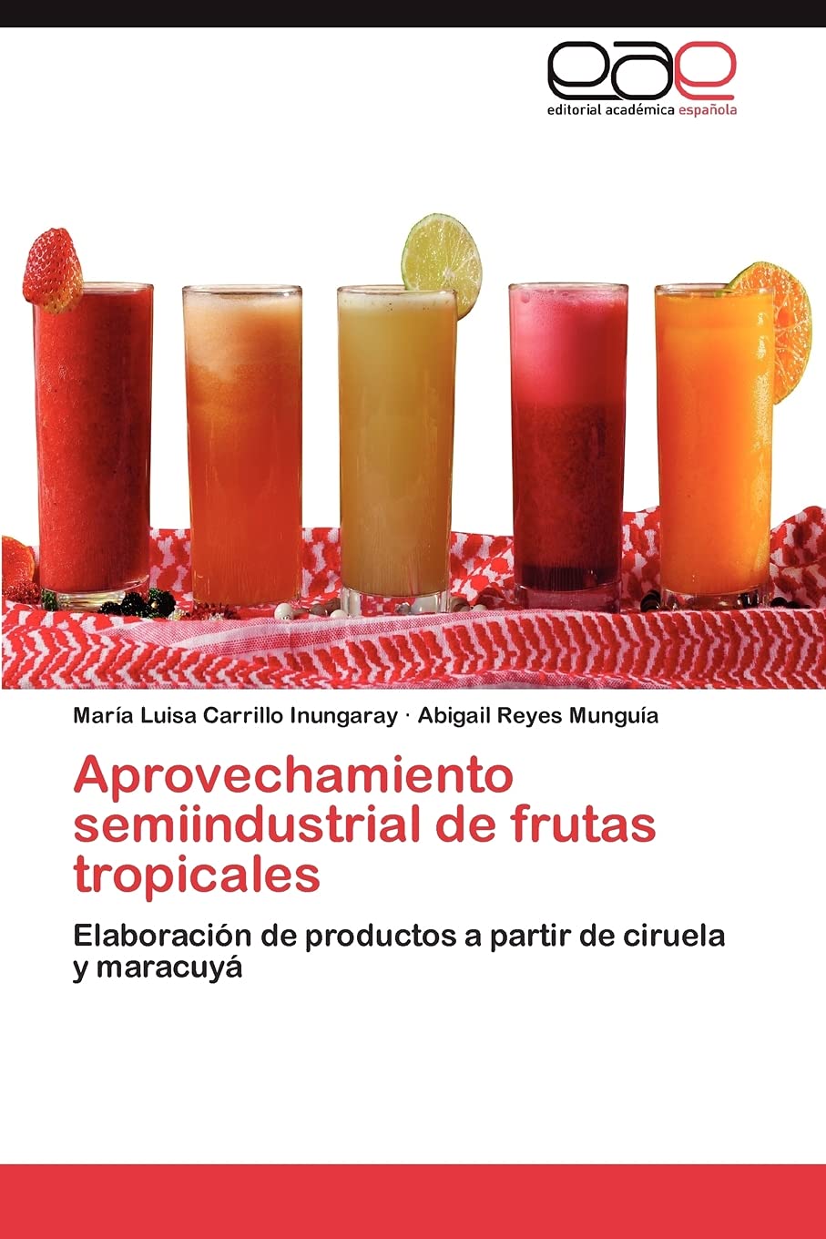 Aprovechamiento semiindustrial de frutas tropicales: Elaboracin de productos a partir de ciruela y maracuy (Spanish Edition),Used