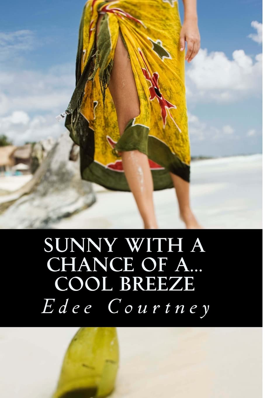 Sunny With A Chance Of A...Cool Breeze,Used