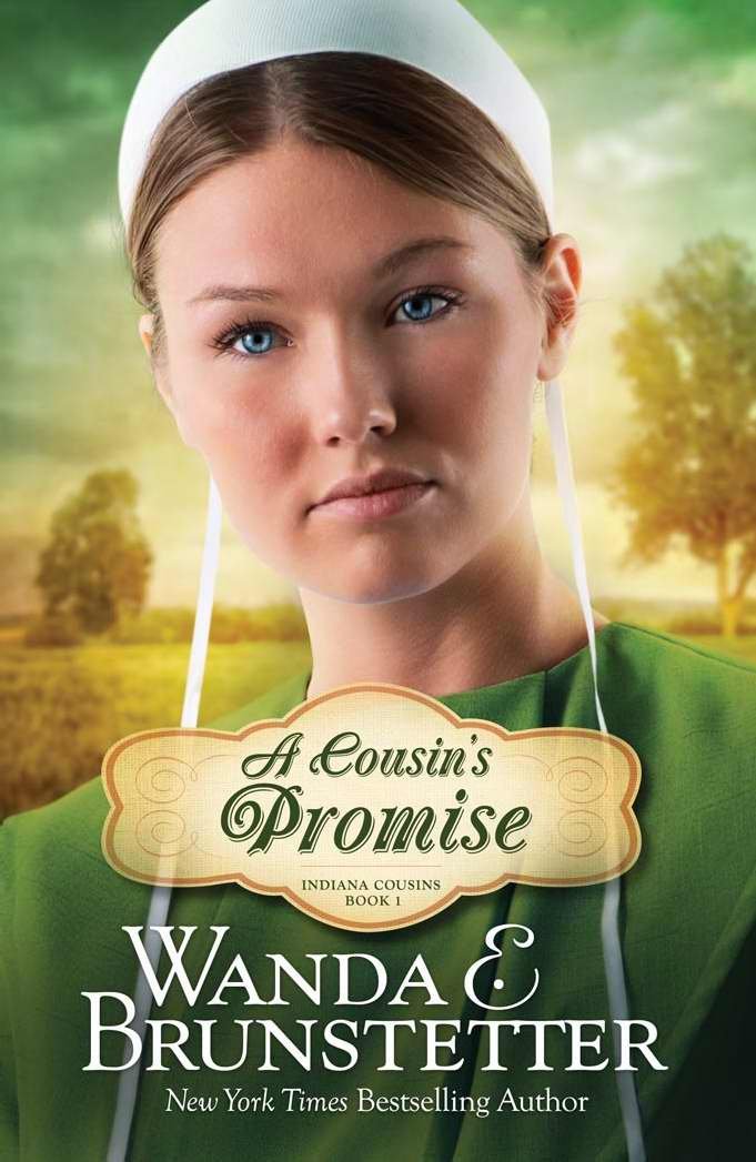 A Cousin's Promise (Volume 1) (Indiana Cousins),Used