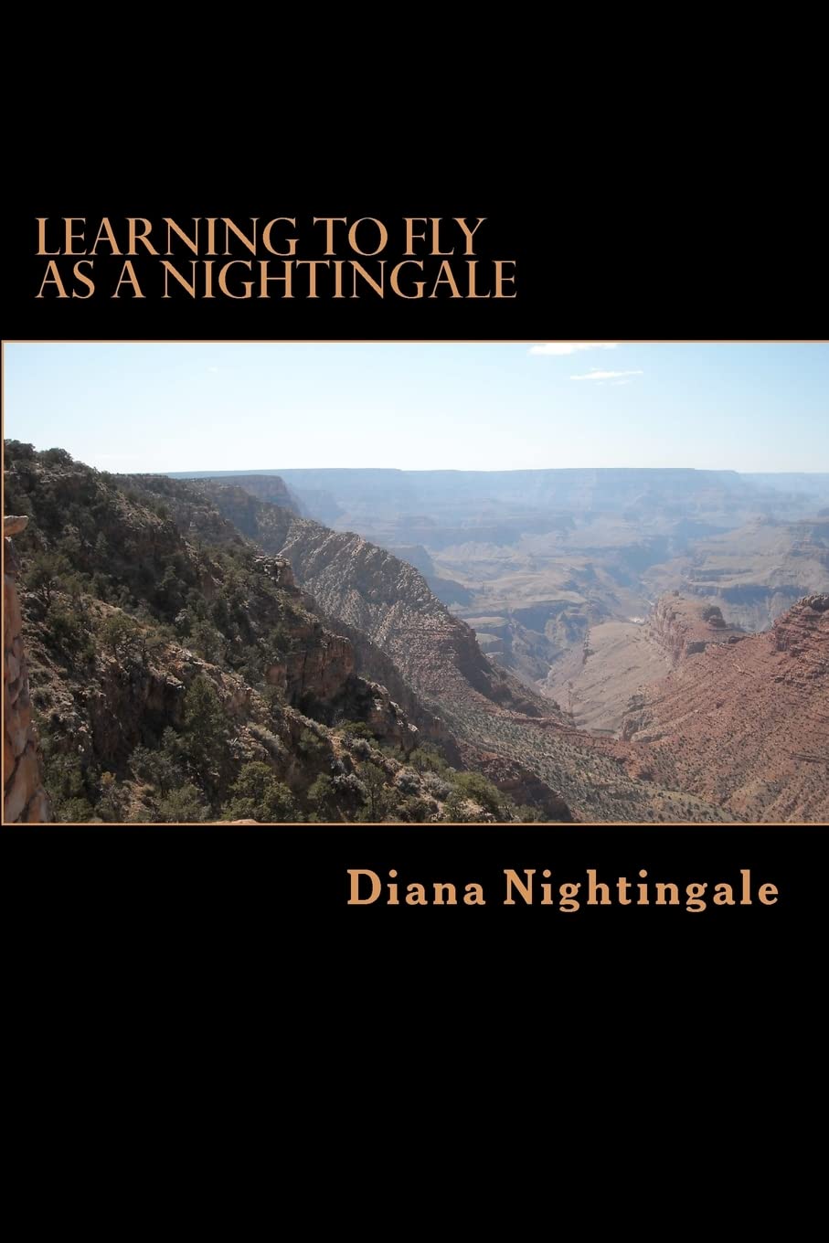 Learning To Fly As A Nightingale: A Motivational Love Story,Used