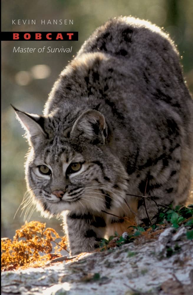 Bobcat: Master of Survival,New