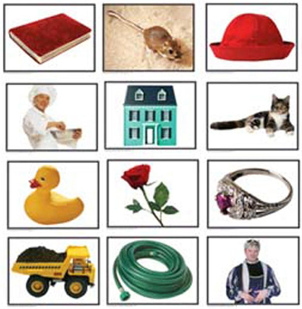 Rhyming Pairs Learning Cards