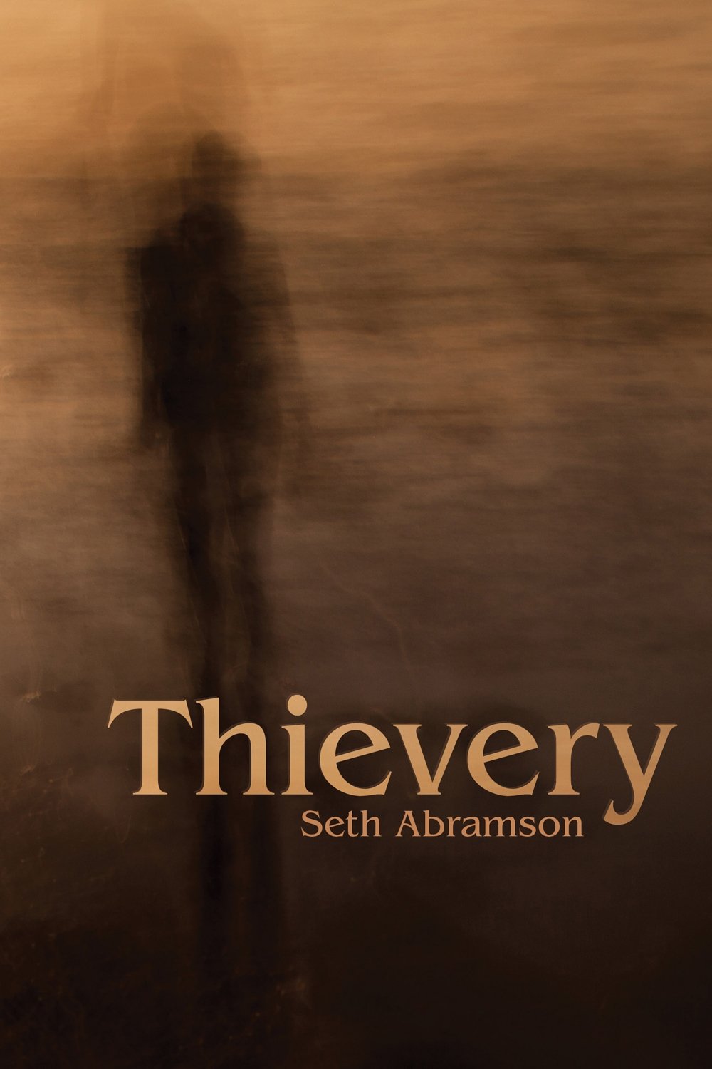 Thievery (Akron Series in Poetry),Used