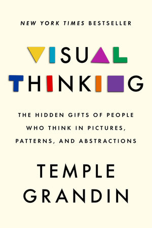Visual Thinking: The Hidden Gifts Of People Who Think In Pictures, Patterns, And Abstractions,Used