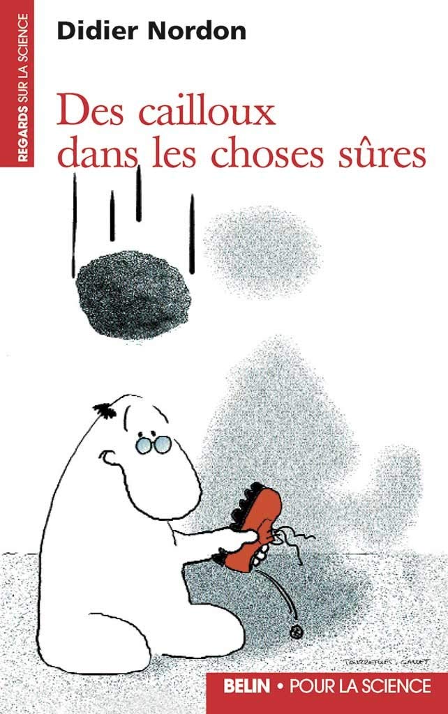 Des cailloux dans les choses sres,Used