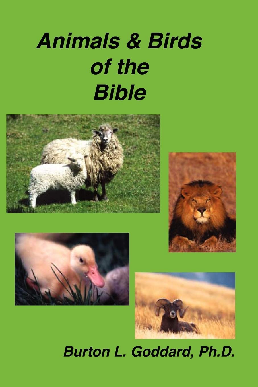 Animals And Birds Of The Bible