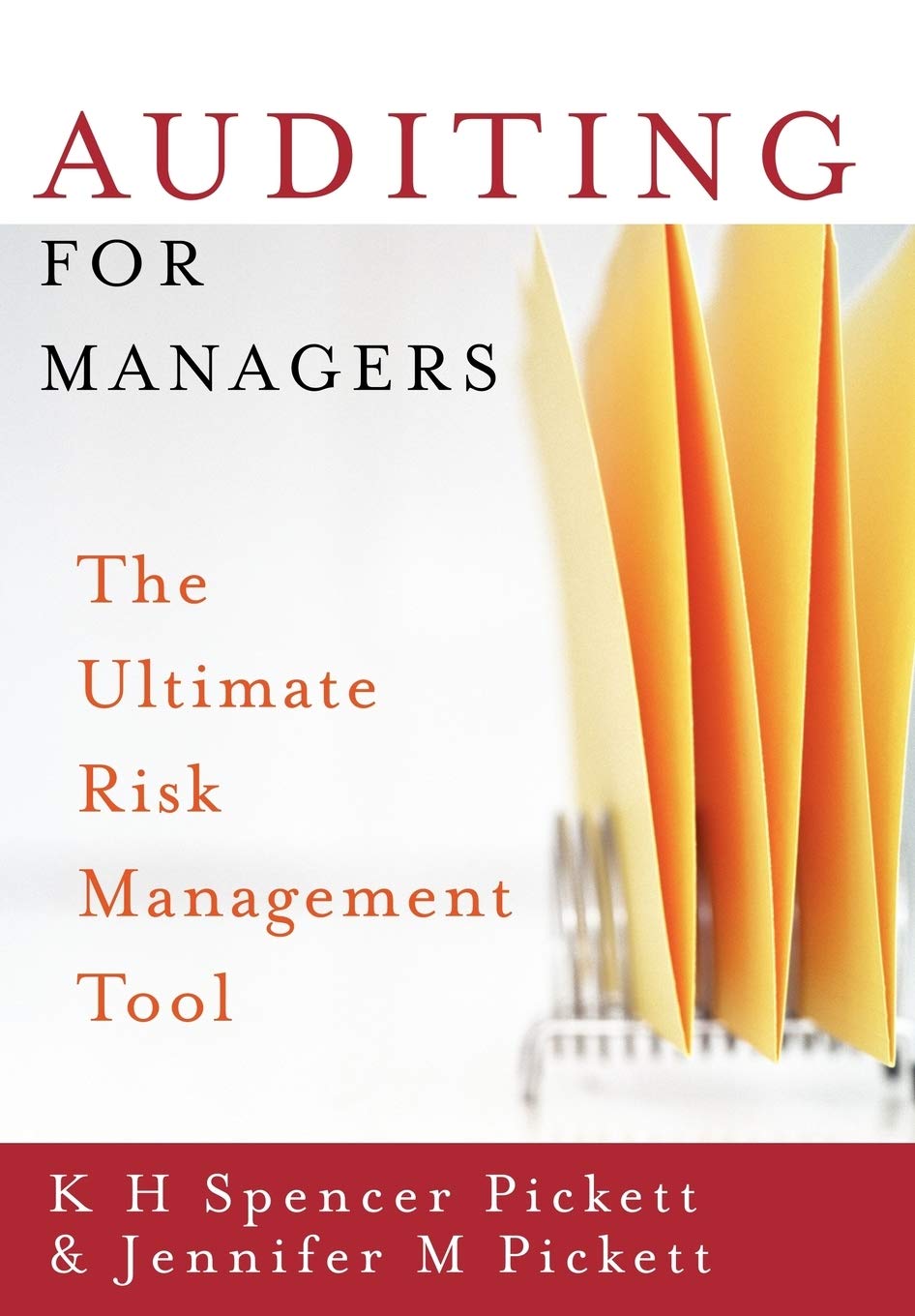 Auditing For Managers: The Ultimate Risk Management Tool