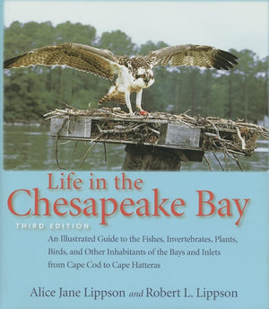 Life In The Chesapeake Bay,New