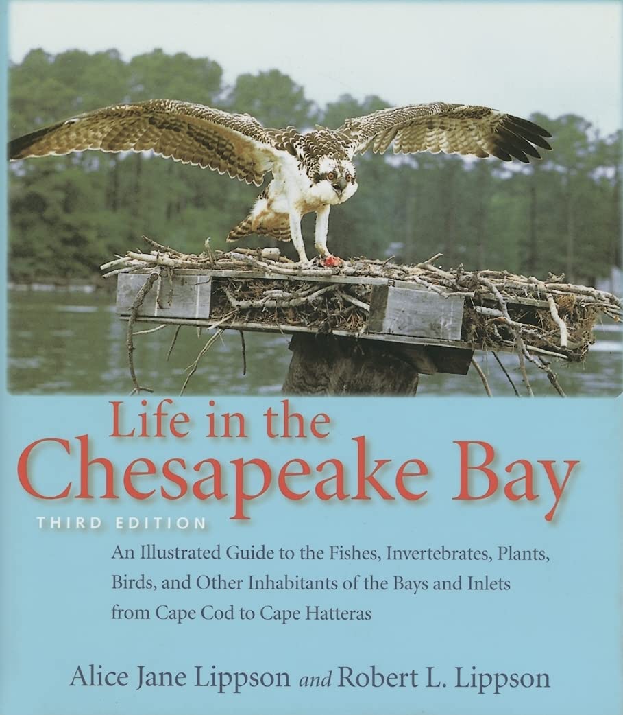 Life In The Chesapeake Bay,New