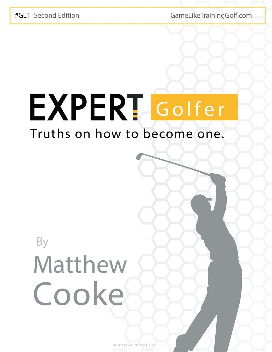 Expert Golfer: Truths on How to Become One,Used