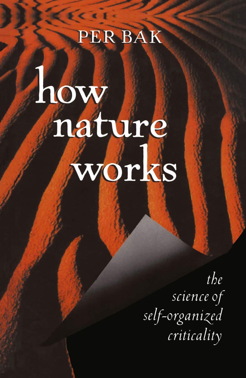How Nature Works: The Science Of Selforganized Criticality,Used