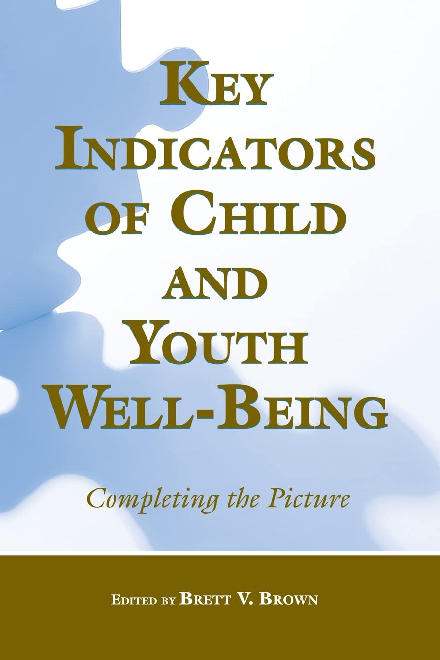 Key Indicators Of Child And Youth Wellbeing: Completing The Picture,Used
