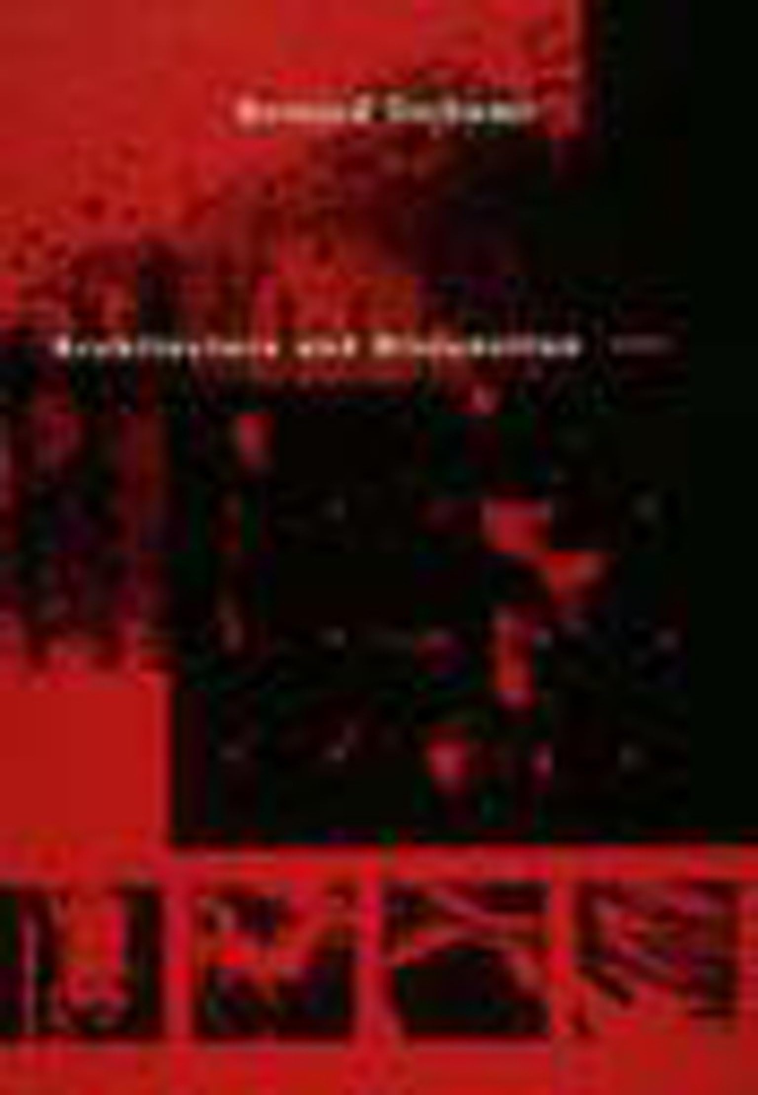 Architecture and Disjunction,Used