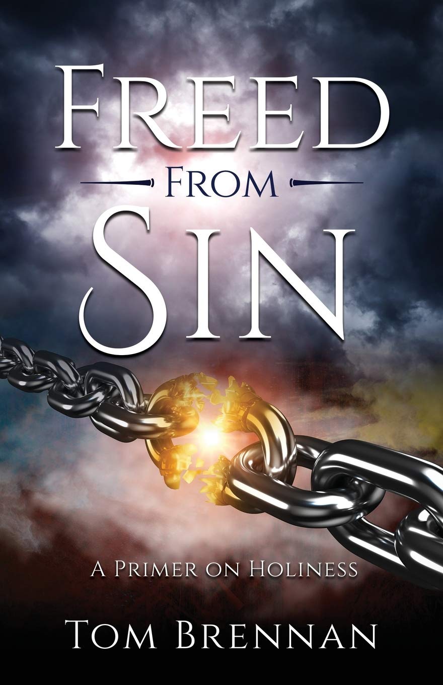 Freed From Sin: A Primer On Holiness,Used