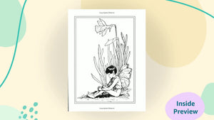 Flower Fairies of the Spring,Used