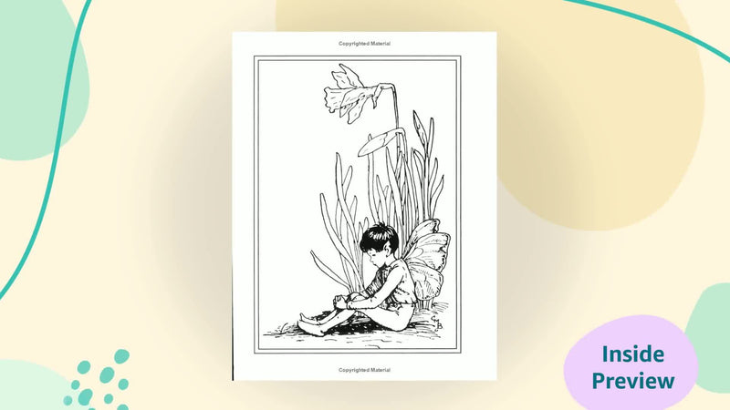 Flower Fairies of the Spring,Used