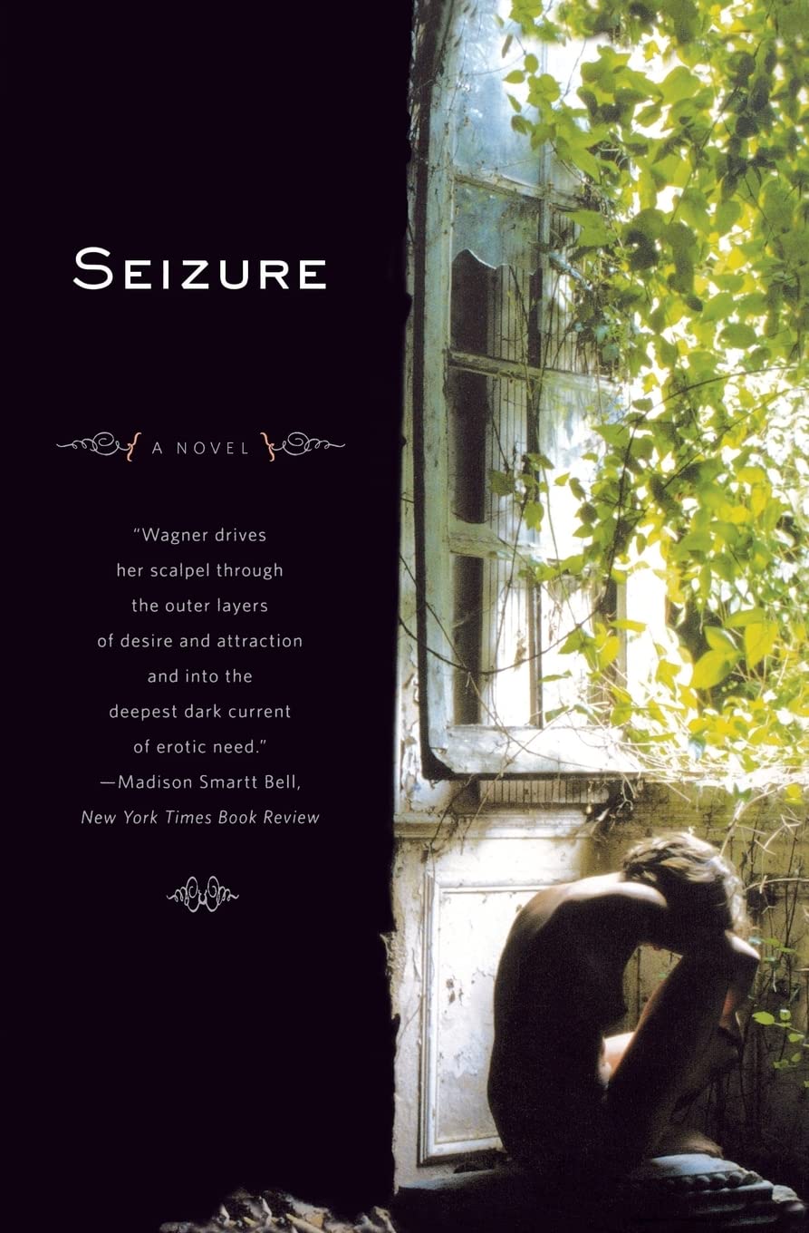 Seizure: A Novel