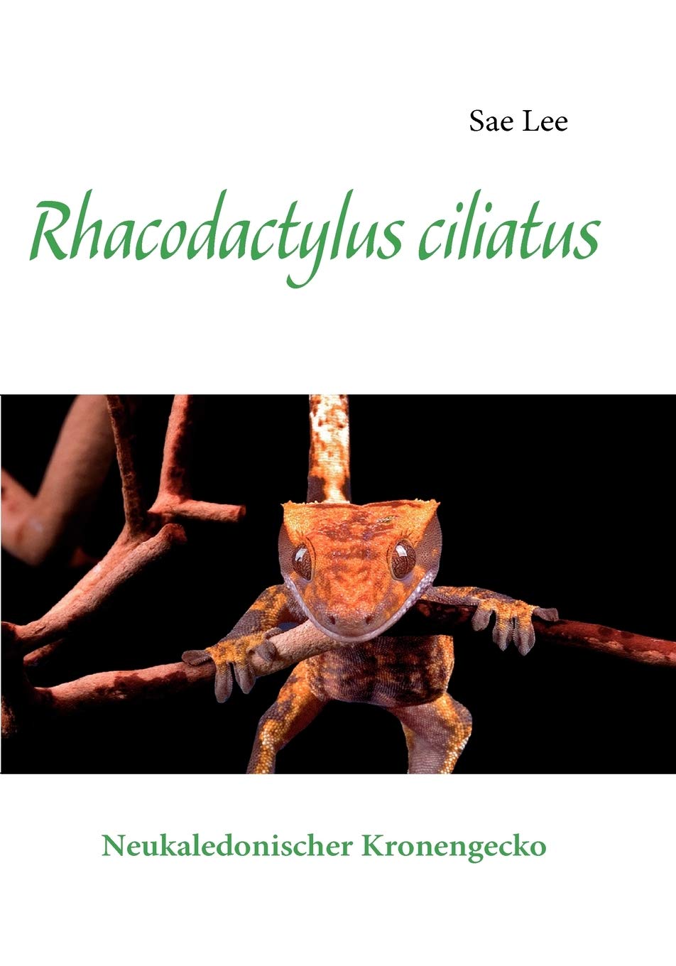 Rhacodactylus ciliatus: Neukaledonischer Kronengecko (German Edition),Used