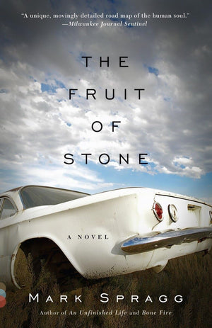 The Fruit of Stone (Vintage Contemporaries),Used