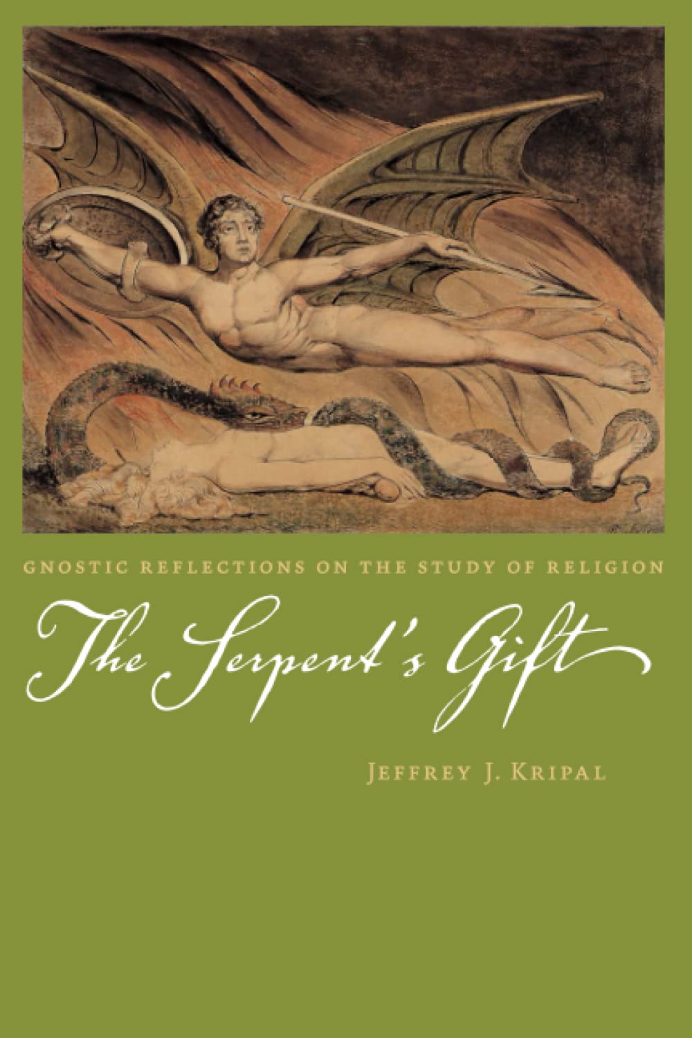 The Serpent's Gift: Gnostic Reflections on the Study of Religion,Used