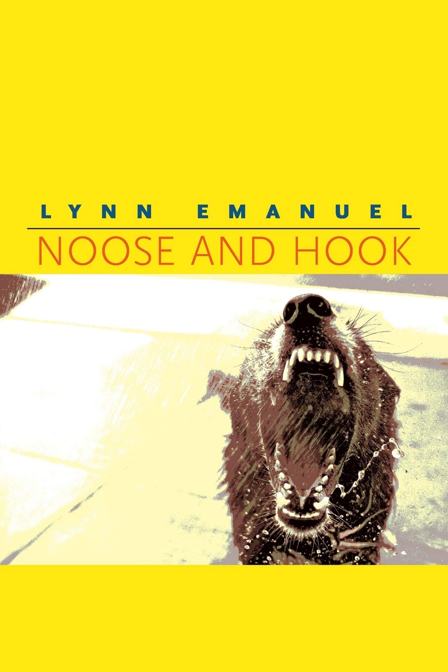 Noose And Hook (Pitt Poetry Series),Used