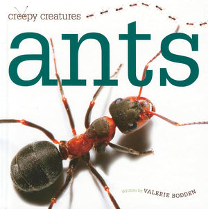 Ants (Creepy Creatures),Used