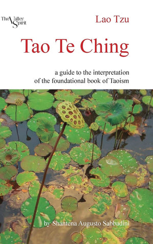Tao Te Ching: A Guide to the Interpretation of the Foundational Book of Taoism,Used