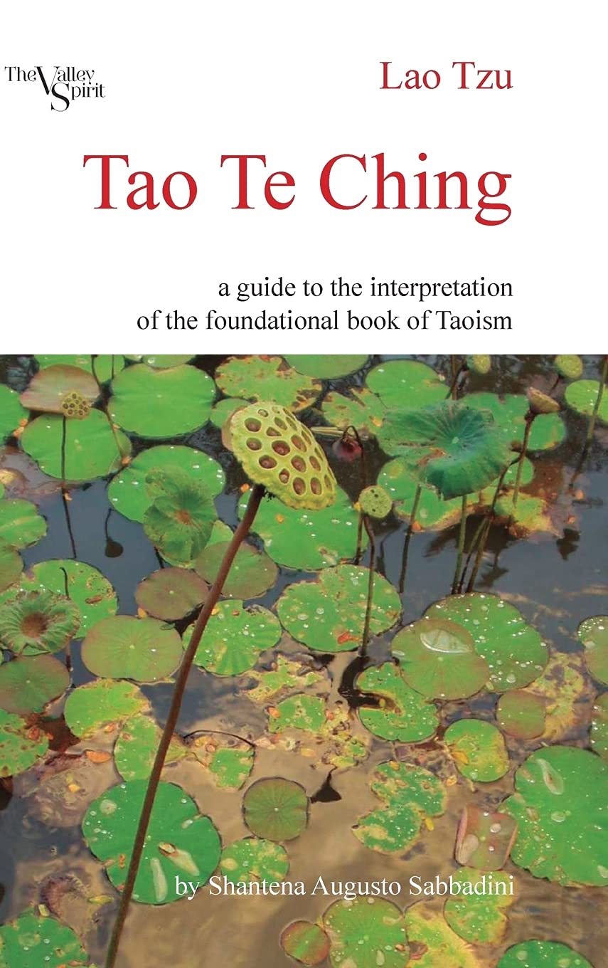 Tao Te Ching: A Guide to the Interpretation of the Foundational Book of Taoism,Used