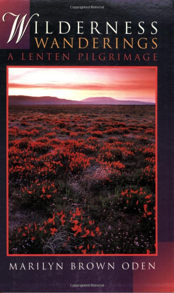 Wilderness Wanderings: A Lenten Pilgrimage,Used