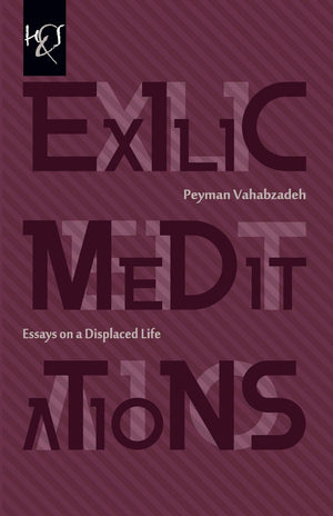 Exilic Meditations: Essays On A Displaced Life,Used