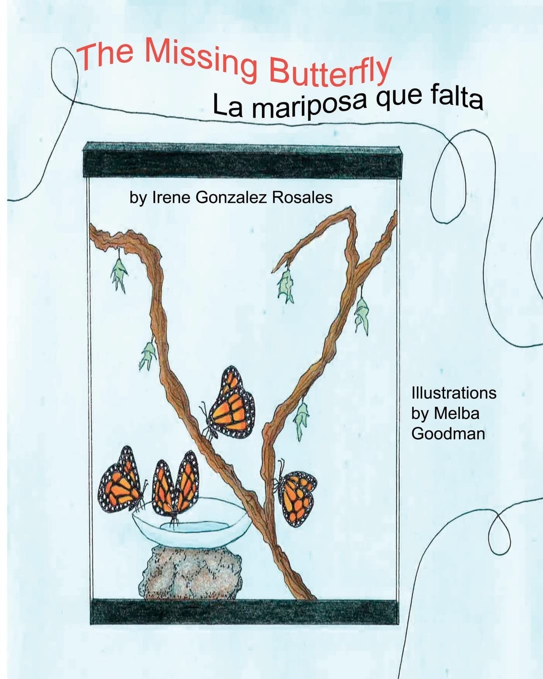 The Missing Butterfly,Used