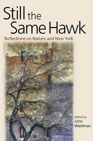 Still the Same Hawk: Reflections on Nature and New York,Used