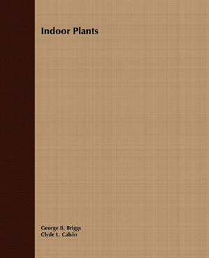 Indoor Plants,Used