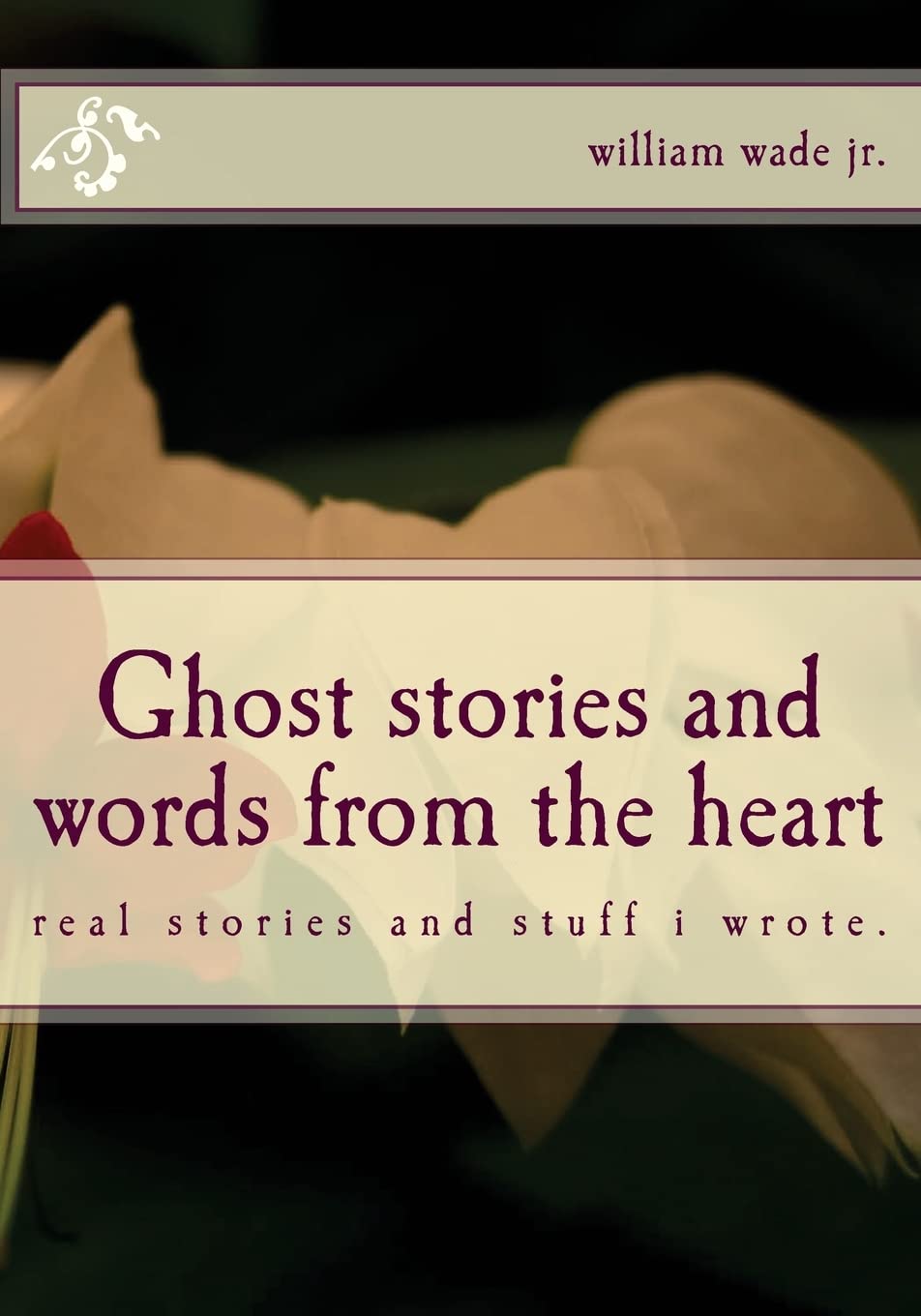 Ghost stories and words from the heart: Find away believe each other,Used