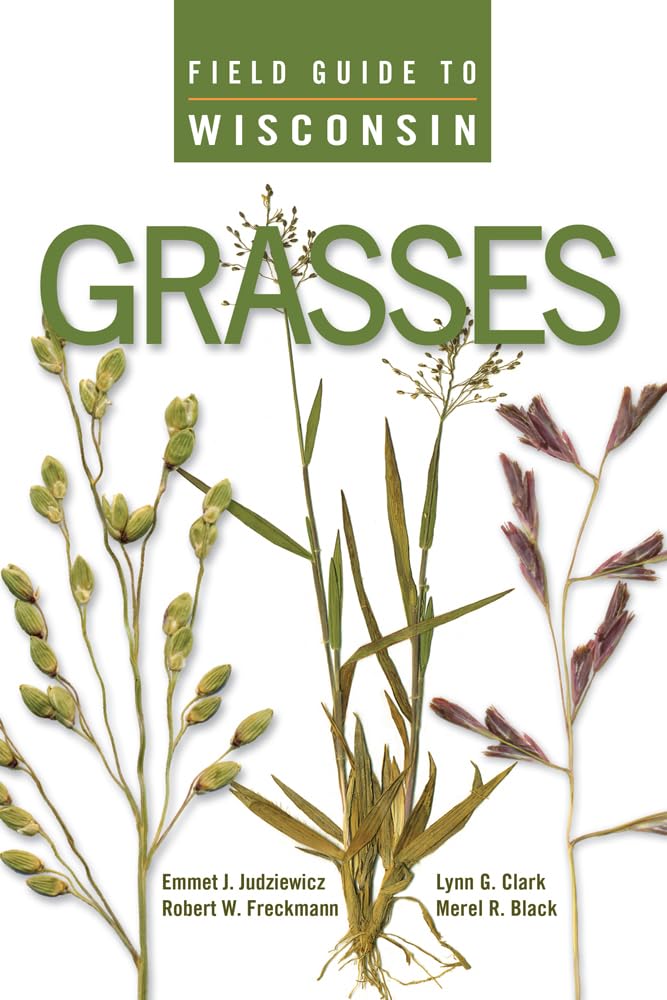 Field Guide To Wisconsin Grasses,New